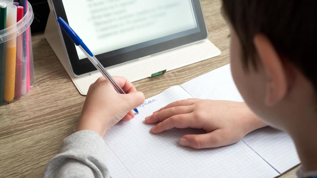 Excluded pupils excluded pupils