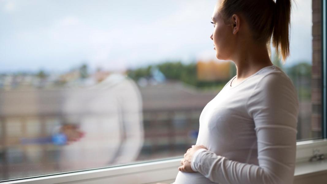 Teen pregnancy support