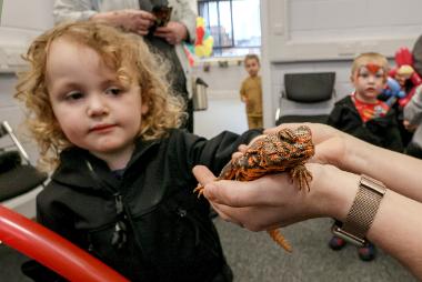 Little boy stroking a lizard 