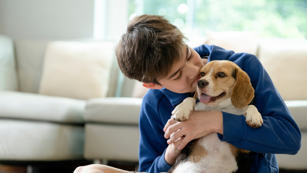 Boy with dog
