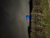 Lit up Penshaw  Monument in blue to mark National Care leavers month