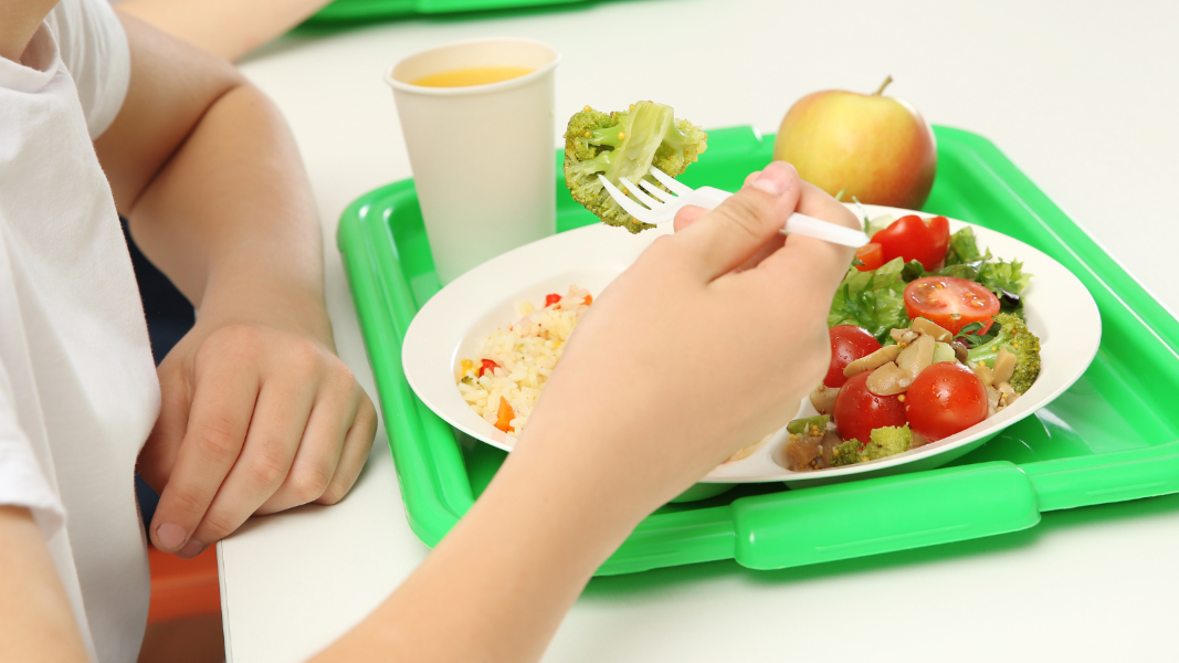 Free School Meals title 